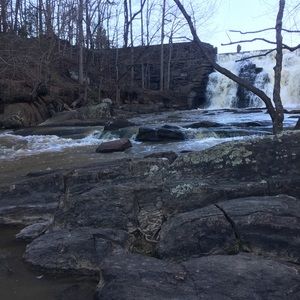 Meet your Posher, Brittney